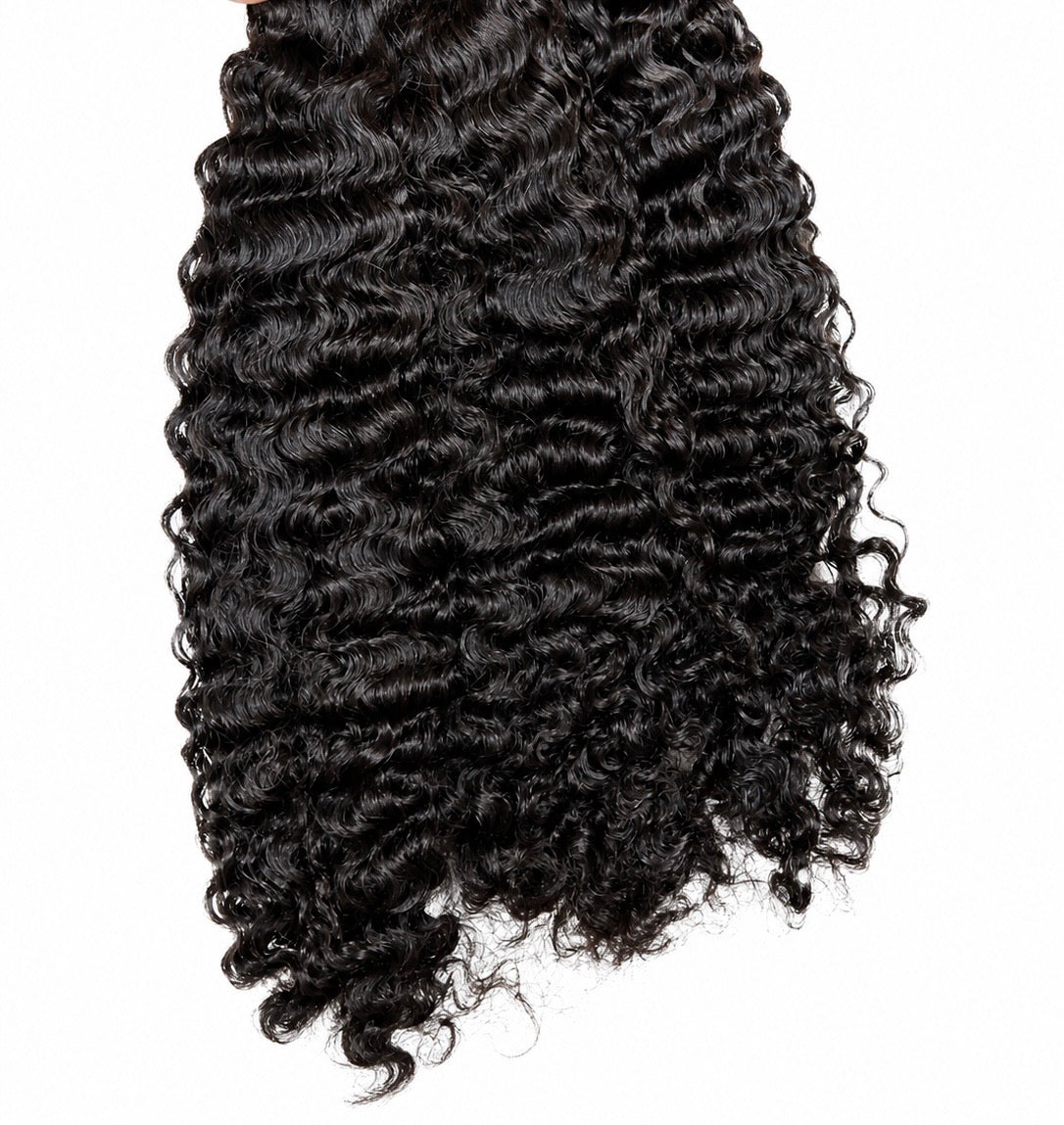 Burmese Curly