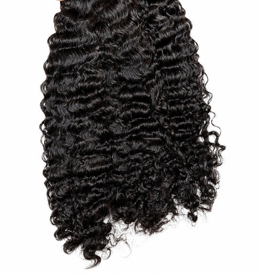 Burmese Curly